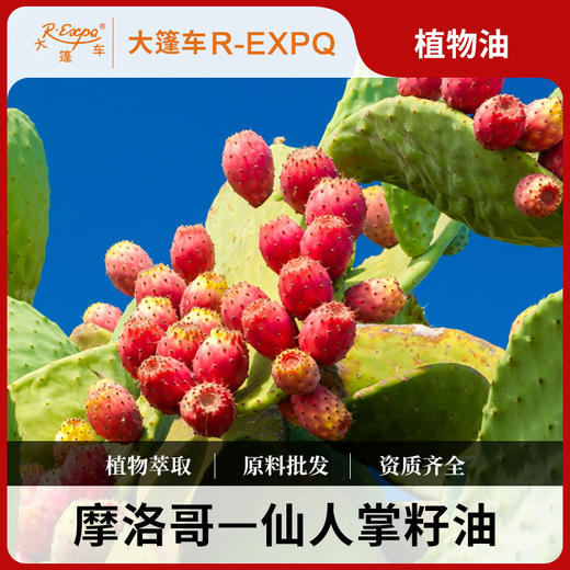 大篷车仙人掌籽油基础油摩洛哥进口SPA肩颈按摩身体护肤 商品图0