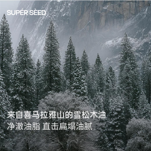 【洗发水】4.0升级版超级种子雪松洗发水300g 商品图1