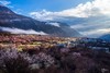 藏东南世外桃源丨桃花雪山（易贡+尼屋乡+索松村+波密+林芝）、墨脱秘境、冰川、峡谷10天摄影团 商品缩略图9