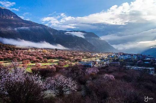 藏东南世外桃源丨桃花雪山（易贡+尼屋乡+索松村+波密+林芝）、墨脱秘境、冰川、峡谷10天摄影团 商品图9