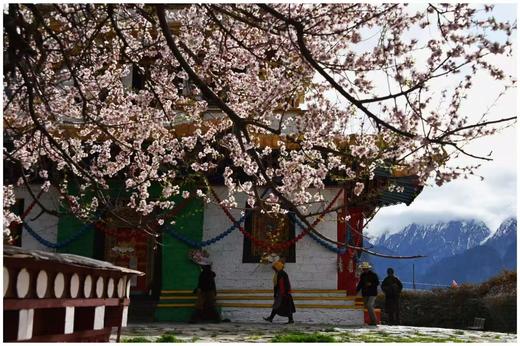 藏东南世外桃源丨桃花雪山（易贡+尼屋乡+索松村+波密+林芝）、墨脱秘境、冰川、峡谷10天摄影团 商品图1
