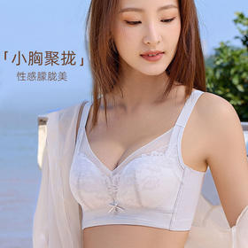 ZYQ-509  小胸聚拢内衣薄款莫代尔舒适性感蕾丝上托收副乳无磁调整型文胸女（单件）