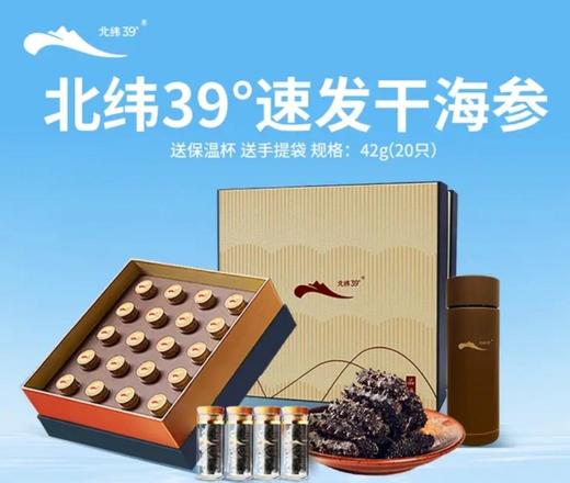 獐子岛北纬39°速发海参2-2.5克/头 20只装（42克）/盒（商品贵重不支持7天无理由退换货） 商品图0