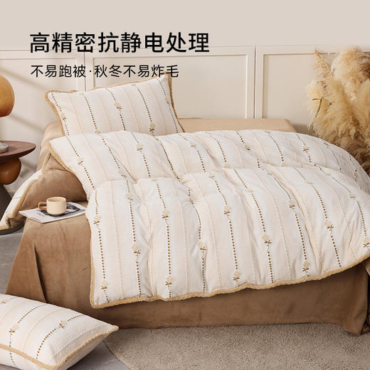 多喜爱 牛奶绒雕花工艺套件【不起球 不掉毛】【 A类高克重】【柔软舒适 抗静电】浅织恋曲 商品图2