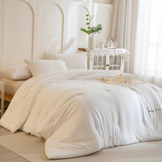 【加厚磨毛面料 整夜恒温安眠】ZOEA 自发热德绒被3.0 表面细腻绒毛 触感温暖 商品图3