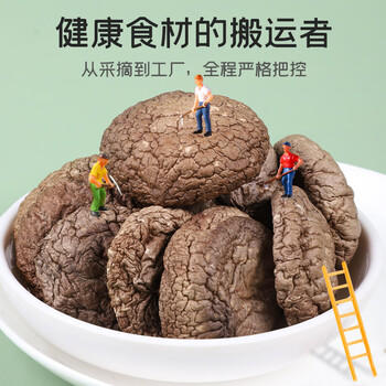 富昌 大香菇干500g 蘑菇菌菇山珍干货古田特产 火锅煲汤材料年货食材 /粮油调味 /南北干货 /菌菇干货 商品图0