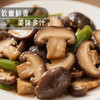 【MLT】香菇干货  形状浑圆  饱满肉厚  菇香浓郁  软嫩鲜香 商品缩略图2