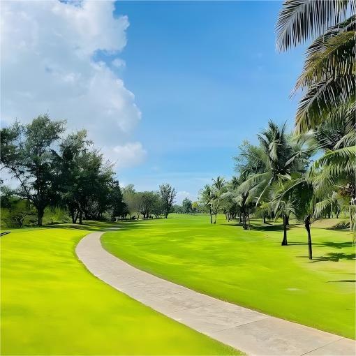 越南头顿·美之城高尔夫球场 Vung Tau Paradise Golf Course   | 胡志明高尔夫球场 | 越南高尔夫球场俱乐部 | 东南亚 商品图6