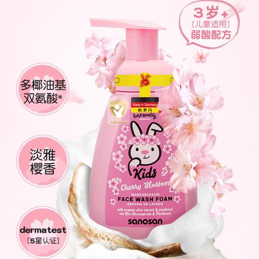 德国哈罗闪儿童洗面奶男女童洁面乳大容量洁面泡沫250ml效期27年2月 商品图5