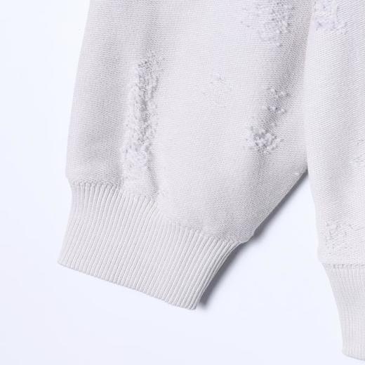 9546SDSA男士秋冬新款痞帅男装潮流设计师刺绣字母圆领卫衣百搭宽松 商品图4