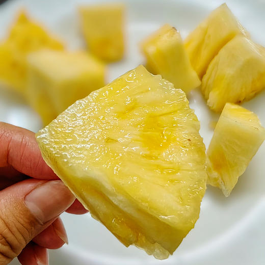 海南【风化石地金钻凤梨】自然树上熟 汁水香甜 风味更浓郁 果肉细腻 口感绵密！ 商品图1
