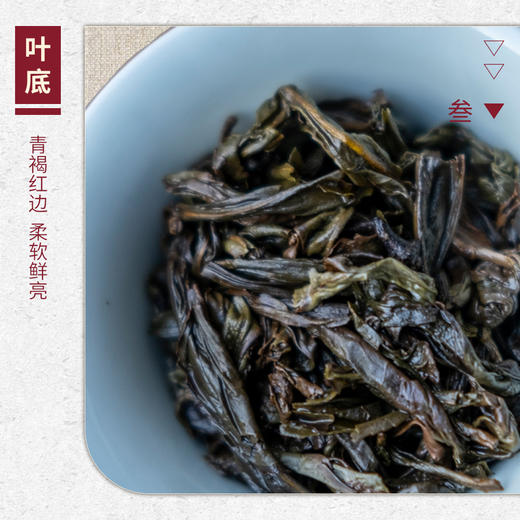 【山纯限品】2026年041三姑峰龙潭高枞水仙17g 商品图4