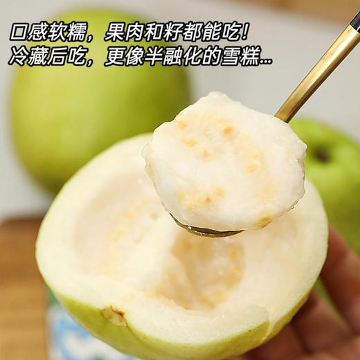 台湾软心白玉芭乐  4斤礼盒装 商品图2