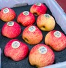 藏地冰糖心苹果|喝冰川雪水长大，圣洁高雅，水份比一般苹果要高很多，苹果自带让人痴迷的天然香气，糖分和水份占比很高，藏地糖心苹果的糖份和水分要高于其他苹果～～ 商品缩略图4