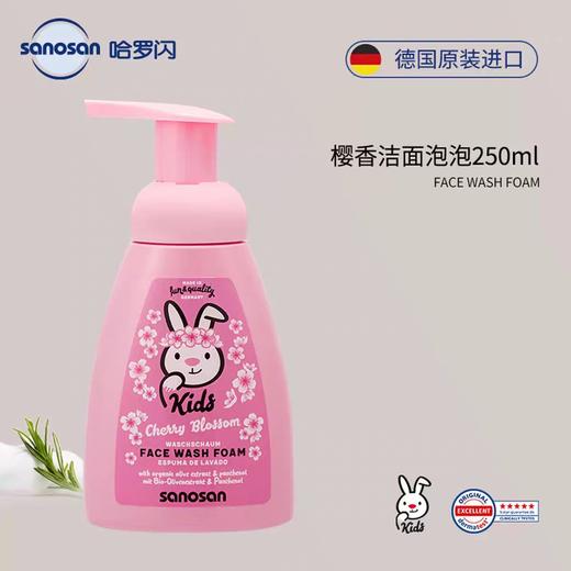 德国哈罗闪儿童洗面奶男女童洁面乳大容量洁面泡沫250ml效期27年2月 商品图1
