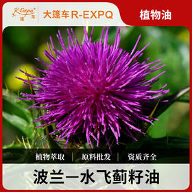 水飞蓟籽油波兰进口原料批发按摩植物基础油美容院Milk Thistle