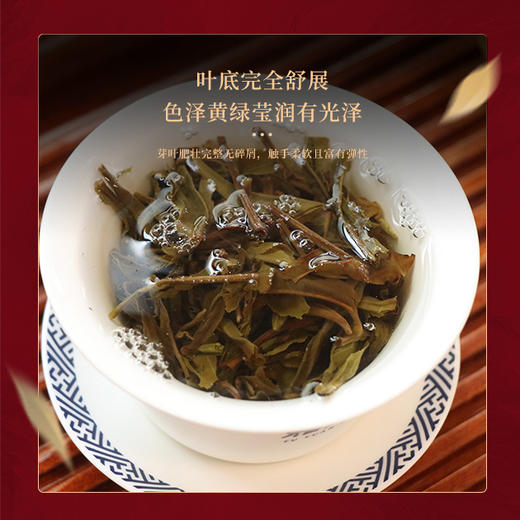 陈升福元昌 2026年骏马载福生肖纪念茶1000g(生茶） 商品图2