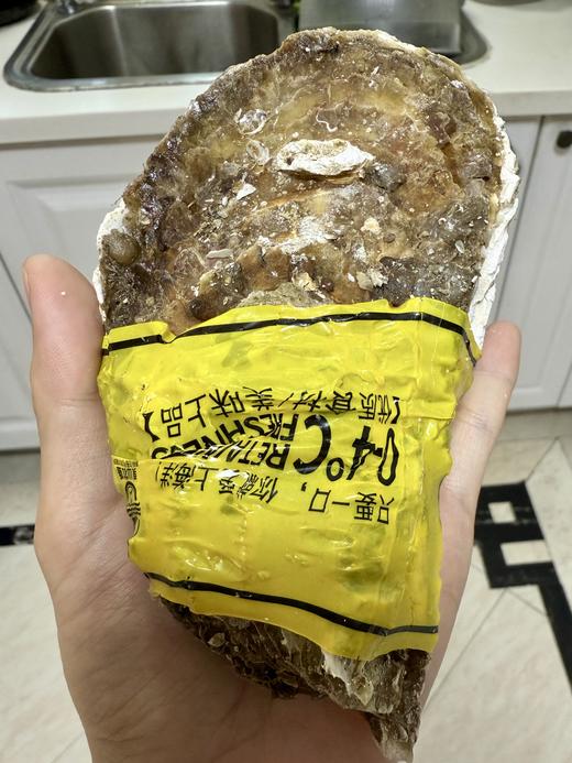 乳山生蚝 山东牡蛎特大肉海蛎子 9斤装 商品图3