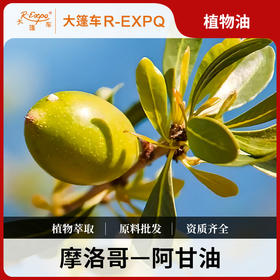 阿甘油 摩洛哥原料批发 身体按摩SPA按摩植物基础按摩油批发