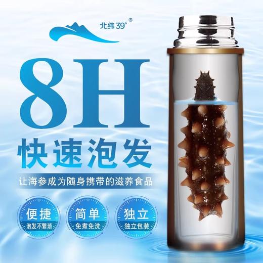 獐子岛北纬39°速发海参2-2.5克/头 20只装（42克）/盒（商品贵重不支持7天无理由退换货） 商品图1