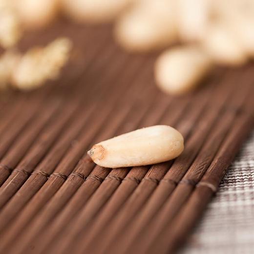 如水松籽仁300g  松子 商品图2