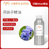风信子精油 印度attar油芳疗护理香氛调香空间香薰 大篷车精油 商品缩略图0