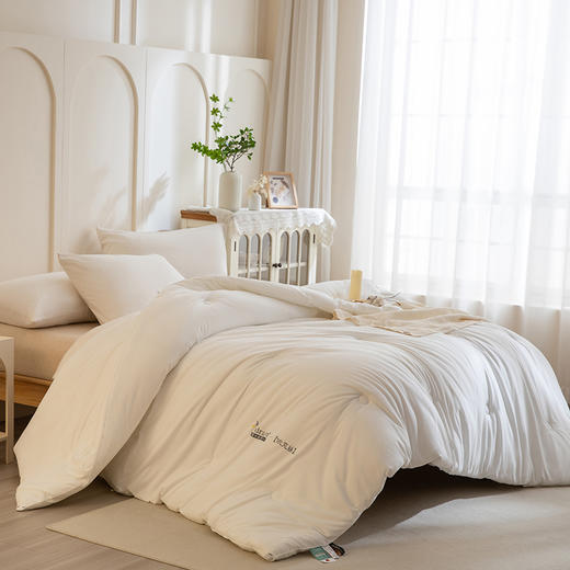 【加厚磨毛面料 整夜恒温安眠】ZOEA 自发热德绒被3.0 表面细腻绒毛 触感温暖 商品图6