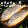 海鲜生鲜  三去黄花鱼4条装（共约1kg-1.2kg）【已去鳞、去鳃、去内脏】冷冻生鲜 请及时签收冷冻保存 商品缩略图1