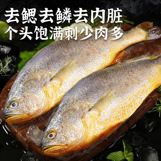 海鲜生鲜  三去黄花鱼4条装（共约1kg-1.2kg）【已去鳞、去鳃、去内脏】冷冻生鲜 请及时签收冷冻保存 商品图1