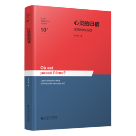 心灵的归宿——法国哲学论丛4 9787303310951 杨大春/著 杨大春法国思想文化研究系列  北京师范大学出版社 正版书籍