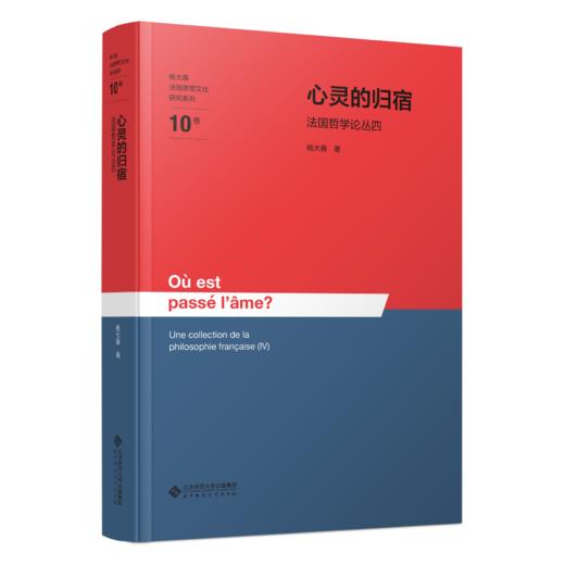 心灵的归宿——法国哲学论丛4 9787303310951 杨大春/著 杨大春法国思想文化研究系列  北京师范大学出版社 正版书籍 商品图0