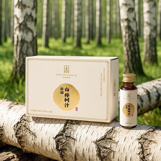 桦树汁2026新春【浓缩桦树汁】12倍浓缩 取汁天然 安全0添加 商品图3