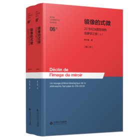 镜像的式微——20世纪法国哲学的现象学之旅（上下册）[修订本] 9787303304486 杨大春/著 杨大春法国思想文化研究系列  北京师范大学出版社 正版书籍