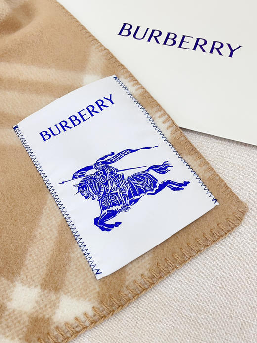 秋冬特惠💰300 巴宝莉围巾 低调的奢侈感 柔美精英高手级别的时髦感围巾 商品图6