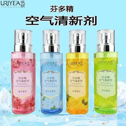 依妍芬多精空气清新剂280ml效期30年 商品图0