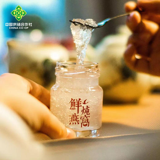 首粮中国供销&京礼会--鲜炖燕窝A款 商品图4