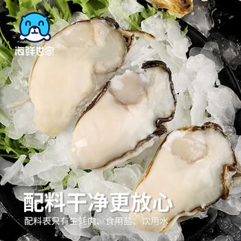 海鲜世家冷冻生蚝肉净重1.6斤 50-70只/袋牡蛎肉火锅烧烤食材海鲜生鲜贝类 商品图0