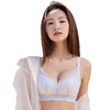 ZYQ-509  小胸聚拢内衣薄款莫代尔舒适性感蕾丝上托收副乳无磁调整型文胸女（单件） 商品缩略图4