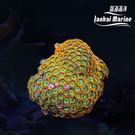 无石幻彩纽扣 商品图0