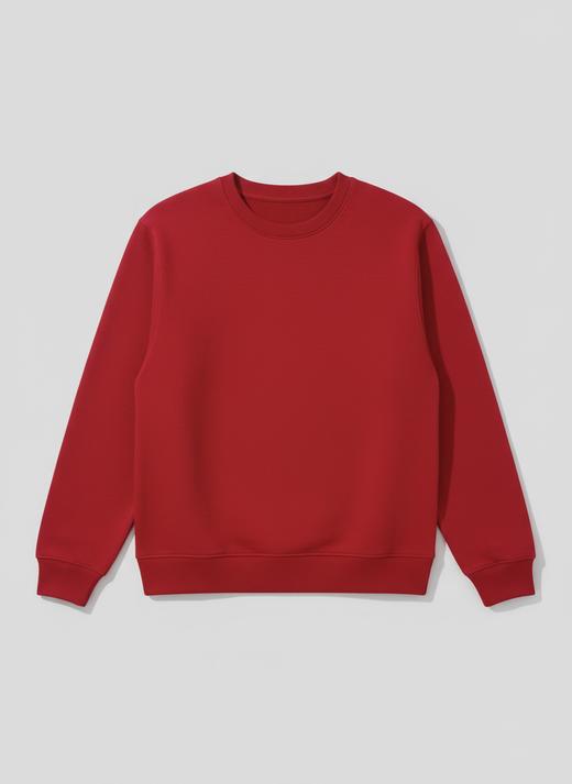 佐丹奴男装25年新款基础百搭圆领舒适长袖抓绒卫衣01025609 商品图0