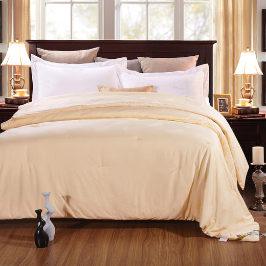 御华蚕丝被|柔软顺滑，耐用保暖，带给肌肤轻柔的包裹感【4.5不发货，6号正常发货】 商品图1