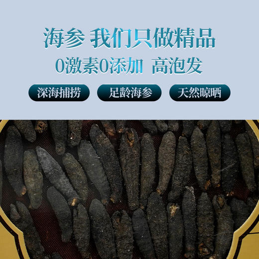 首粮鲜灵岛--印尼干海参（淡干） 商品图4