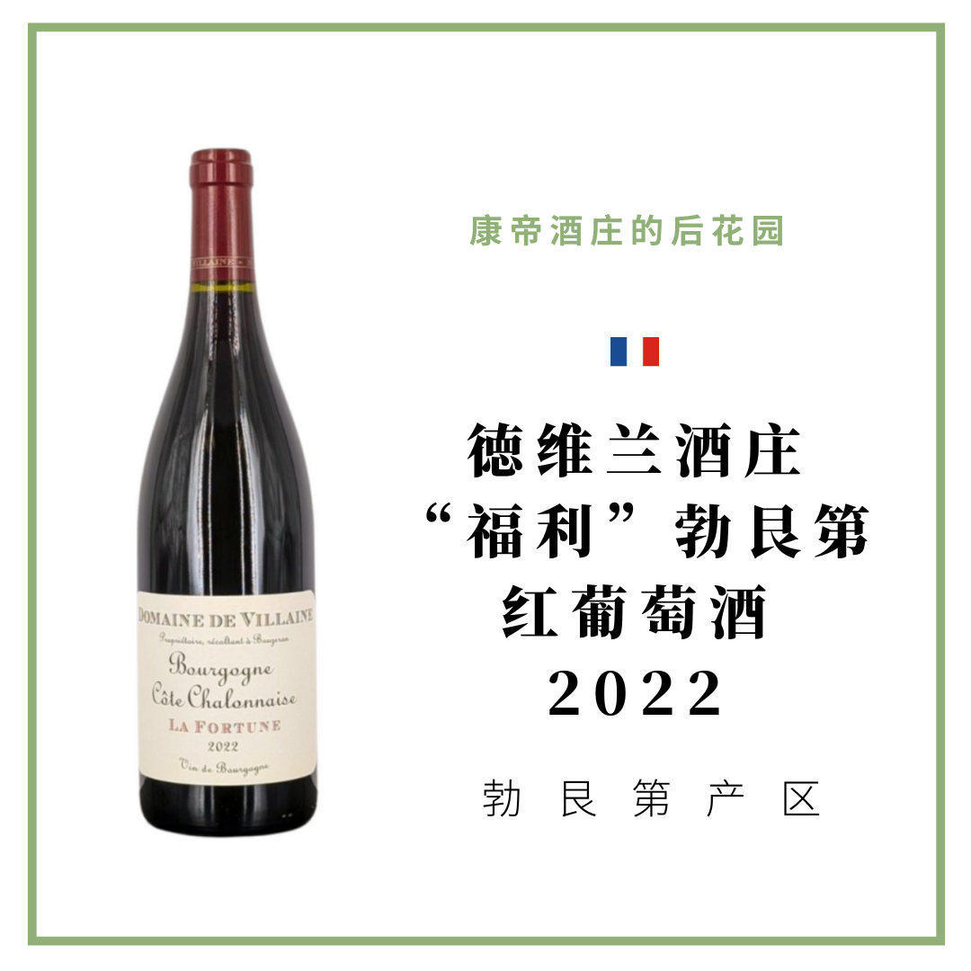 Domaine De Villaine 德维兰酒庄“福利”勃艮第红葡萄酒