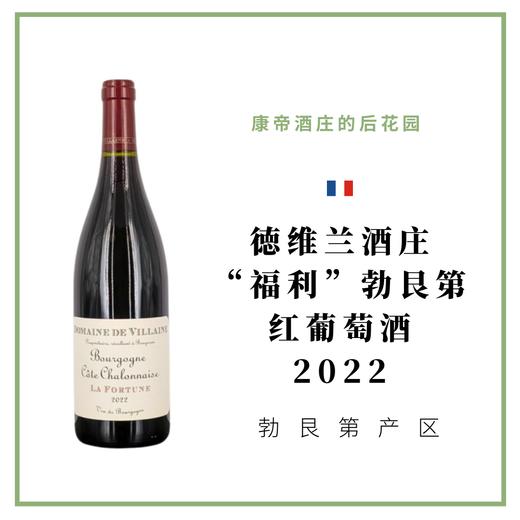 Domaine De Villaine 德维兰酒庄“福利”勃艮第红葡萄酒 商品图0