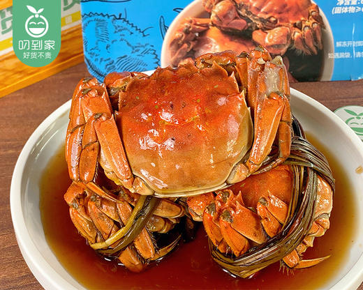 江苏花雕熟醉蟹-3两母蟹（约600g/盒 3只） 商品图2