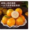 融安甜金桔（大）约500G /份 商品缩略图0