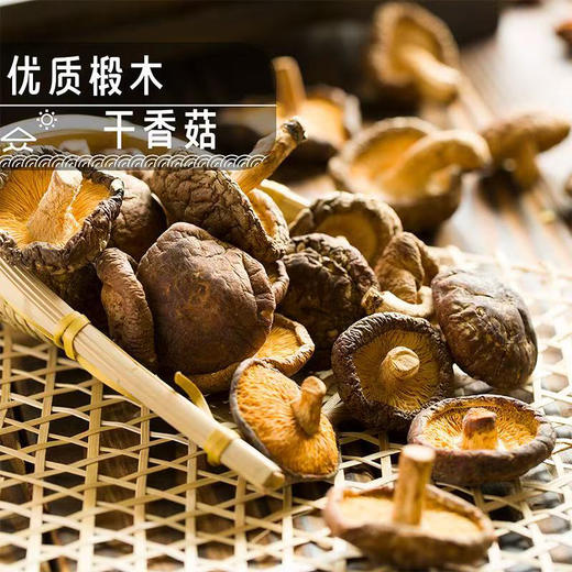 【MLT】香菇干货  形状浑圆  饱满肉厚  菇香浓郁  软嫩鲜香 商品图1