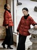 543379新中式国风鹅绒服 商品缩略图0
