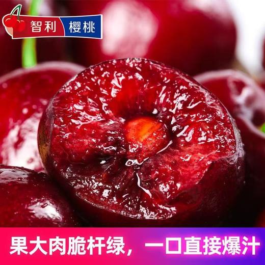 【京东包邮❗️新鲜到家🔥原箱智利车厘子】飘洋过海的情谊，从智利到中国，优选精品进口车厘子，当季应季水果，营养美味又健康，老人/孕妇/水果，新鲜水果大樱桃车厘子L 商品图1