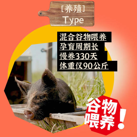 首粮野牧宴黑猪肉礼盒【冷链生鲜类商品不退，质量问题只换】 商品图3